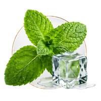 Peppermint Sensation