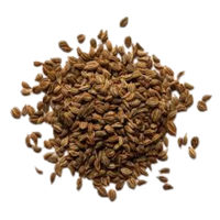 Carom Seeds Extract