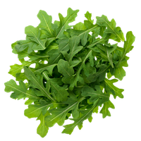 Arugula Oil